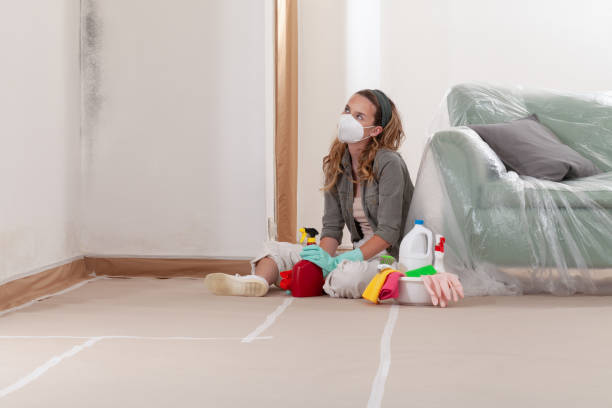 Reliable Mold Remediation contractor in Columbia, KY by Cheap Mold Removal
